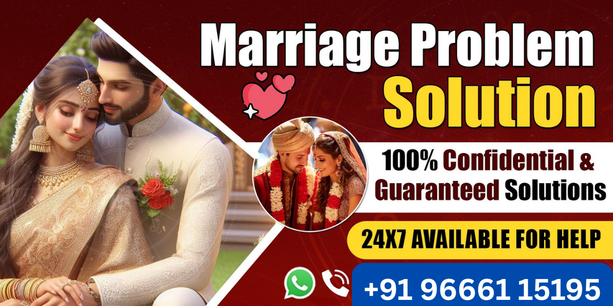 +91 96661 15195 (1)