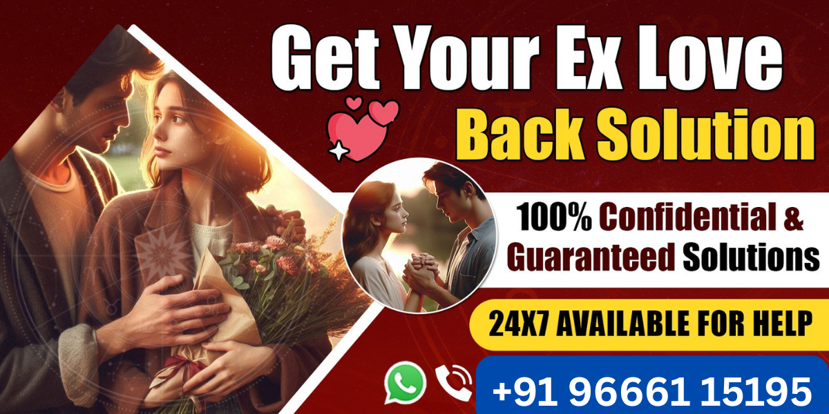 +91 96661 15195 (2)